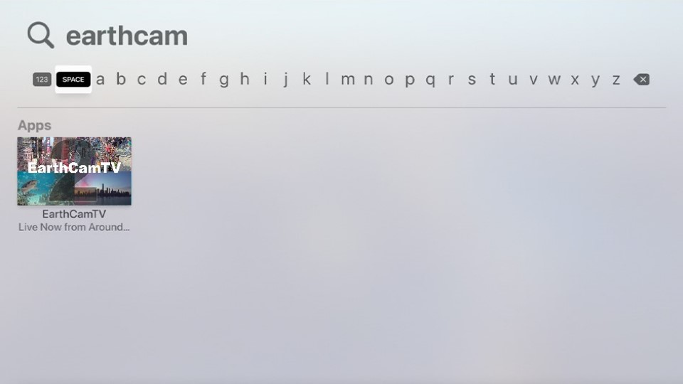 Picture of fireTV search