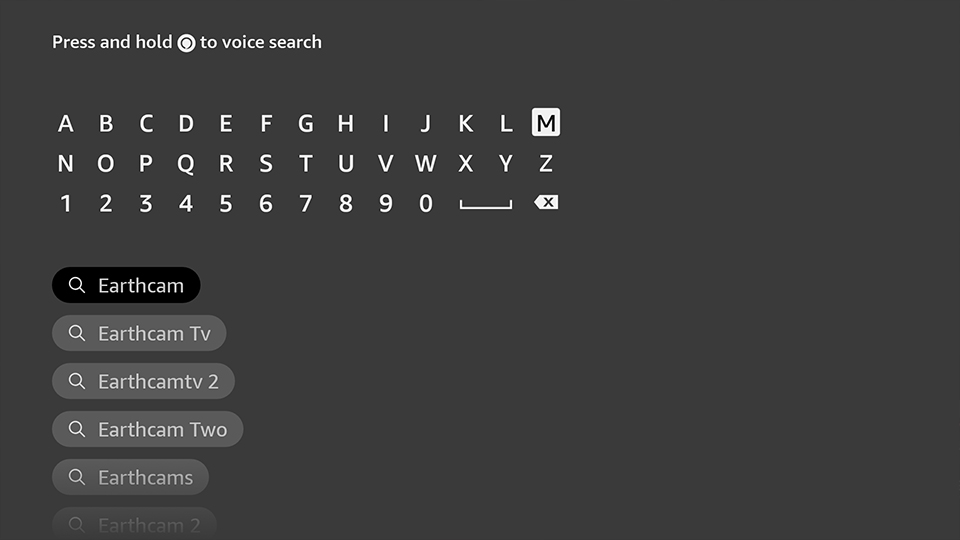 Picture of fireTV search